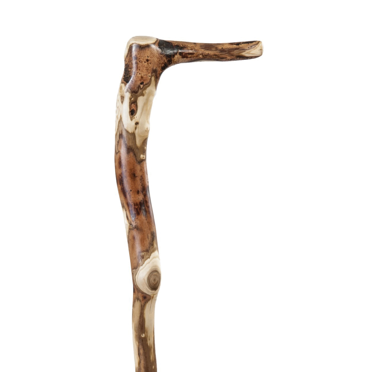 Brazos 502-3000-0138 Rustic Root Cane, 37 in H Cane, Standard Handle, Wood Handle, Hardwood, Root, Lacquer - 2