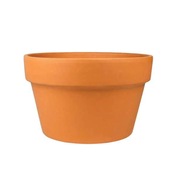 Pennington 100043023