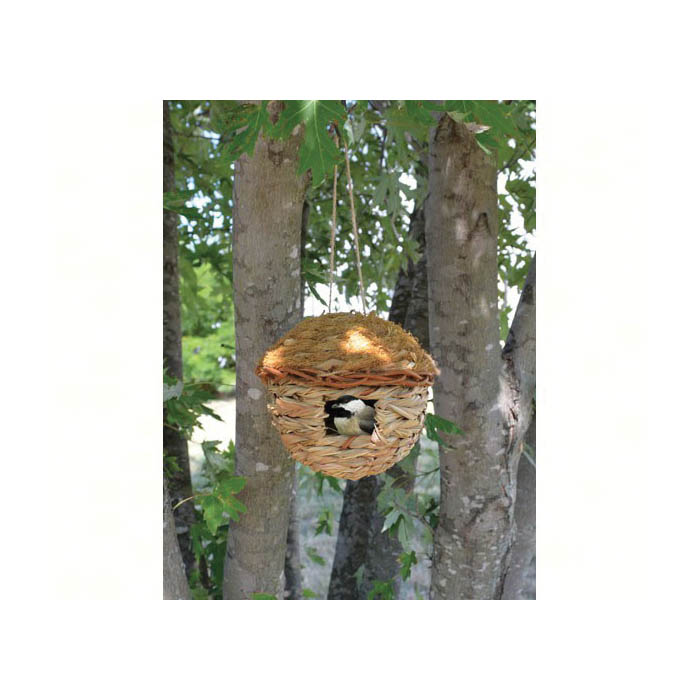 Songbird ESSENTIALS SE936