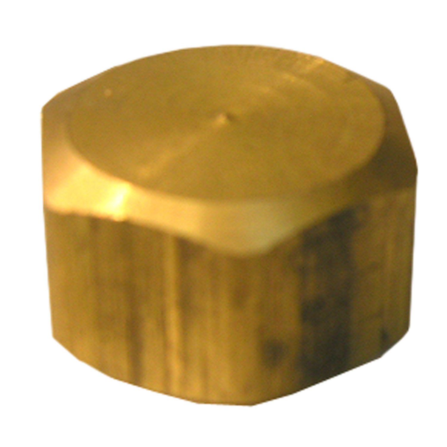 Lasco 17-6189 Pipe Cap, 5/8 in, Compression, Brass, 150 psi Pressure