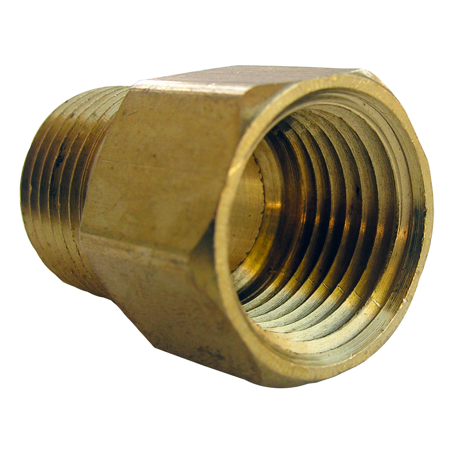 Lasco 17-8549 Pipe Coupling, 1/2 in, FIP x MIP, Brass