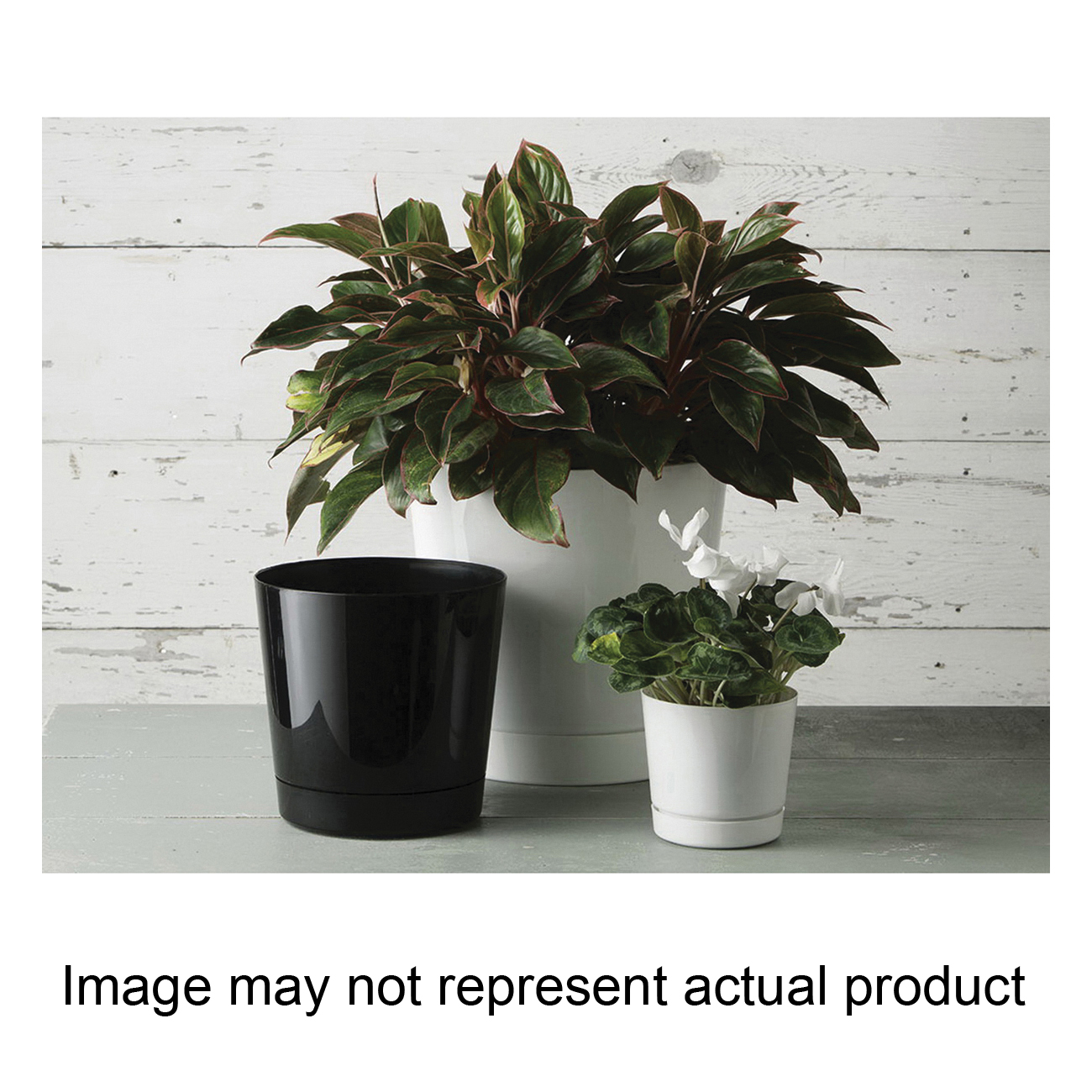 Novelty 10122 Pot with Attached Clip-In Tray, 12-1/2 in Dia, 11.8 in H, Cylinder/Round, Plastic, White, High-Gloss