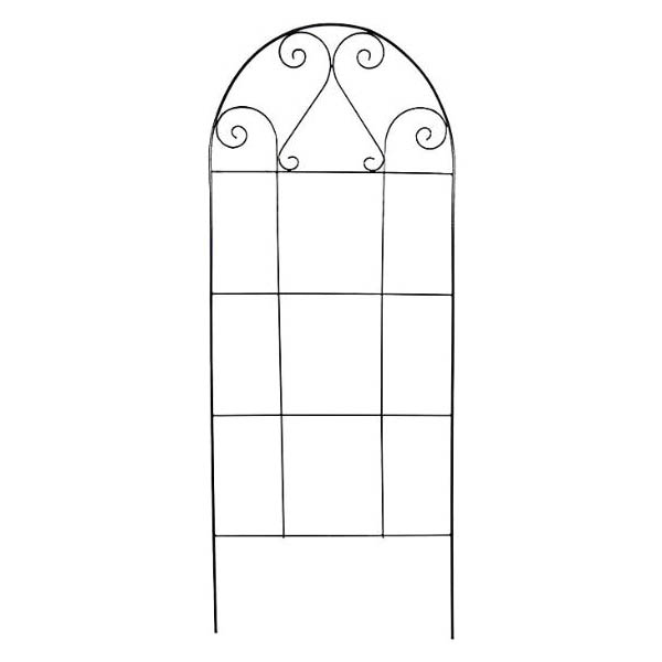 American Gardenworks SCT