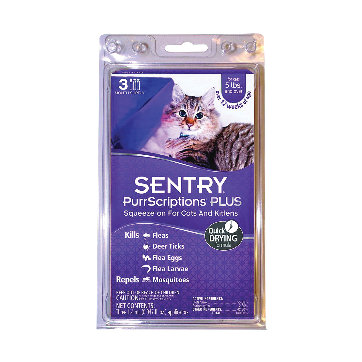 Sentry 01981