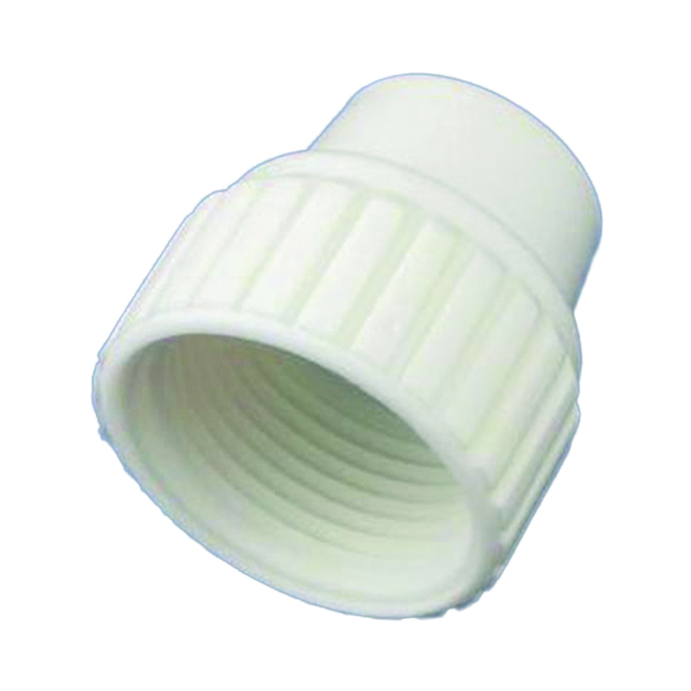 16861 Pipe Cap, 3/4 in, PEX