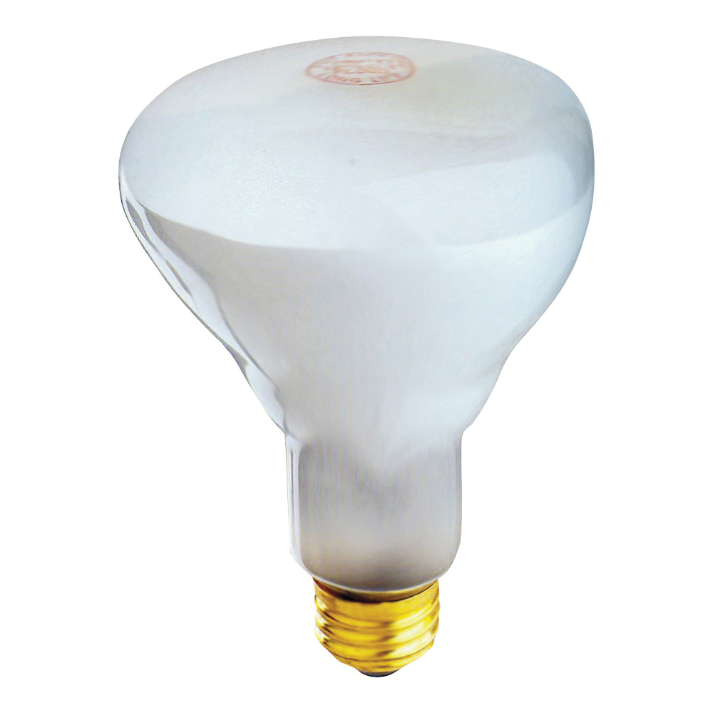 65BR30/FL/2RP Incandescent Lamp, 65 W, BR30 Lamp, Medium E26 Lamp Base, 2700 K Color Temp