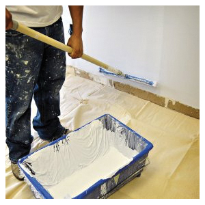 Trimaco BUTYL II 85355 Drop Cloth, 5 ft L, 5 ft W, Canvas