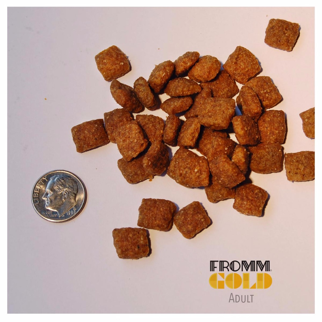 Fromm Gold FR11527 Dog Food, Dry, 5 lb - 1