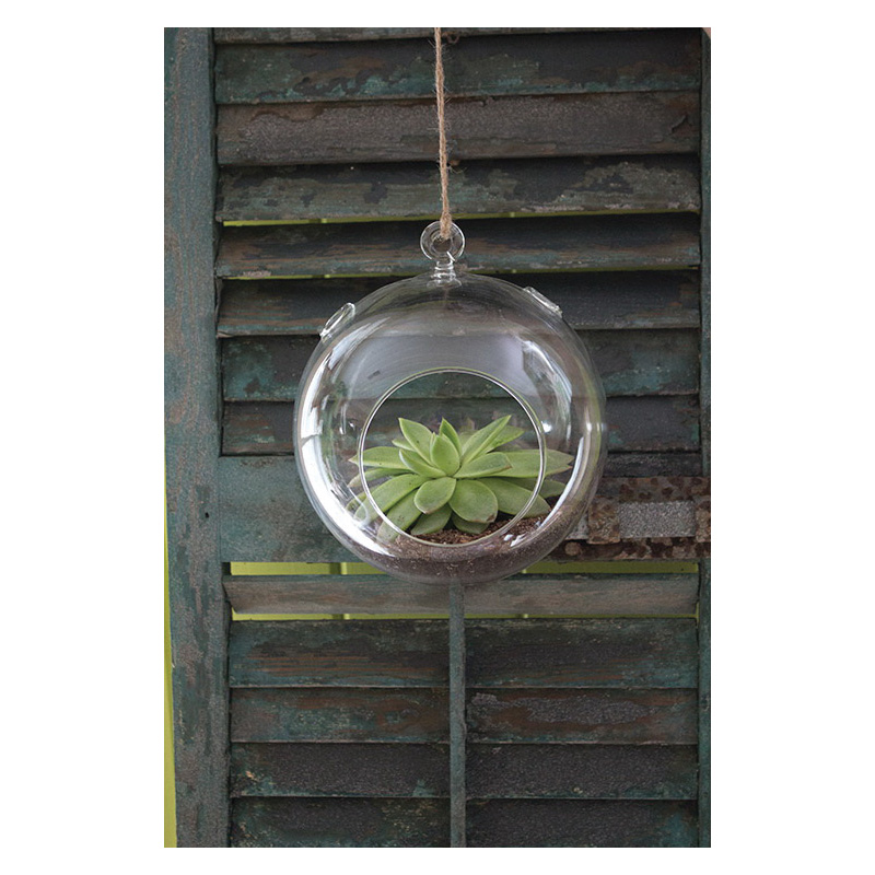 Syndicate Home & Garden 3752-06-09 Hanging Terrarium, Glass, Crystal