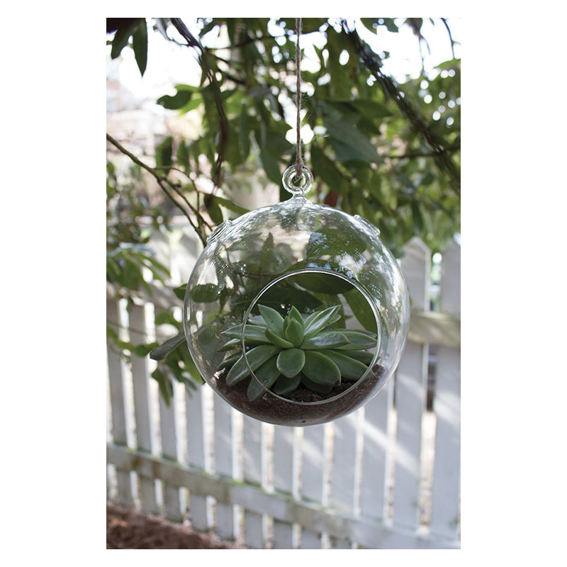Syndicate Home & Garden 3752-06-09 Hanging Terrarium, Glass, Crystal
