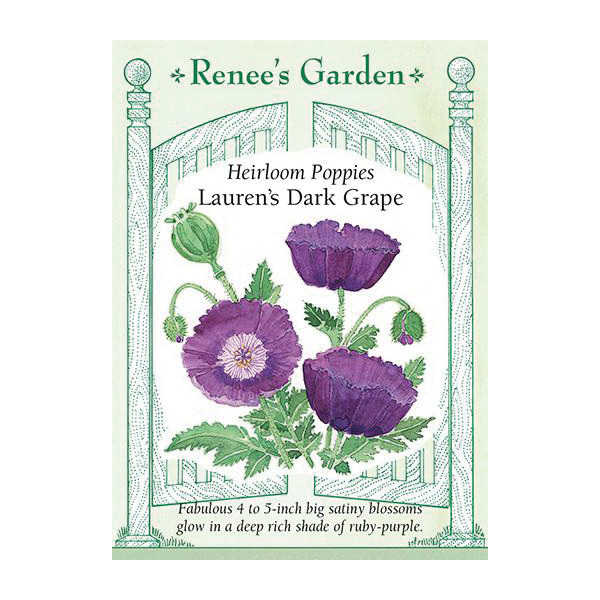 Renee's Garden 5869
