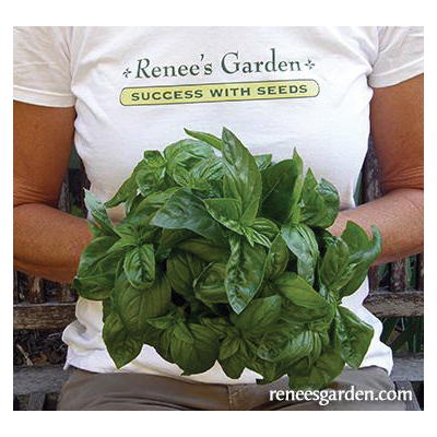 Renee s Garden 5455 Italian Pesto Basil Herb Seed Pack B