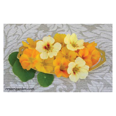 Flower Seed, Renee's Garden, Mounding Nasturtiums, Tropaeolum Majus, April to June, Cup of Sun Type - 2