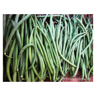Renee's Garden 5933 Emerite Vegetable Seed Pack, Beans, March to June, May to June Planting Pack - 2