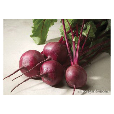 Renee's Garden 5986 Vegetable Seed Pack, Beet, August to September, March to June Planting Pack - 2