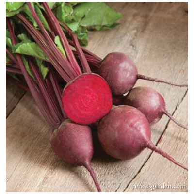 Renee's Garden 5986 Vegetable Seed Pack, Beet, August to September, March to June Planting Pack - 5