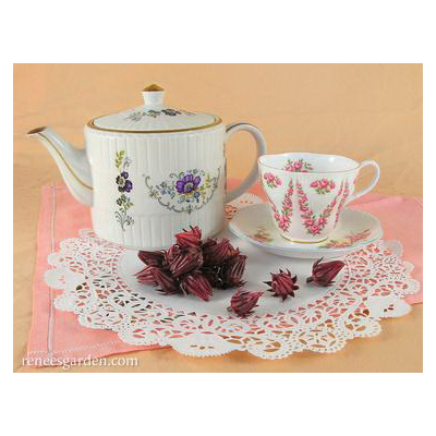 Zinger Hibiscus Herb Seed Pack, Renee's Garden, Herbal Tea, Hibiscus Sabdariffa, April to May, March Planting - 3