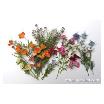 Flower Seed, Renee's Garden, Special Seed Blend Seed, April to May, March to May Planting, Spring, Summer Bloom Pack - 3