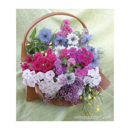 Flower Seed, Renee's Garden, Special Seed Blend Seed, April to May, March to May Planting, Spring, Summer Bloom Pack - 4