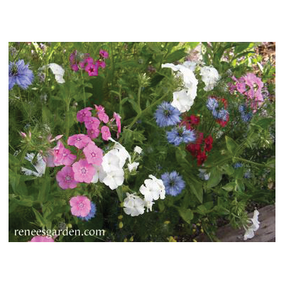Flower Seed, Renee's Garden, Special Seed Blend Seed, April to May, March to May Planting, Spring, Summer Bloom Pack - 5