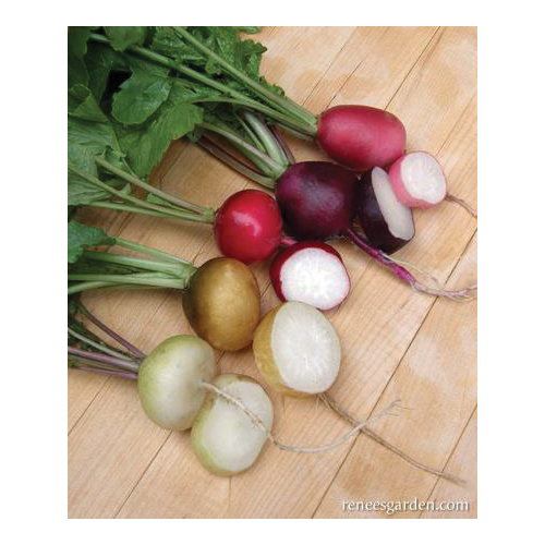 Garden Party Vegetable Seed Pack, Renee's Garden, Radish Pack - 2