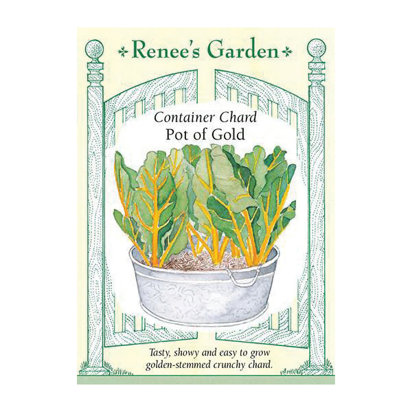Renee's Garden 5345 Pot of Gold Vegetable Seed Pack, Chard, April to May, February to September Planting Pack - 1