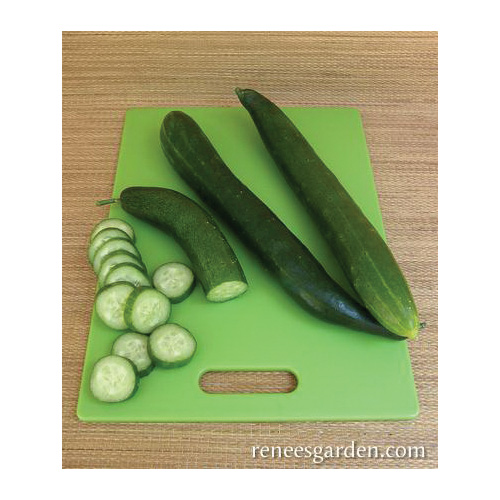 Renee's Garden Cucumber Tasty Treat Slicer Vegetable Seed Pack