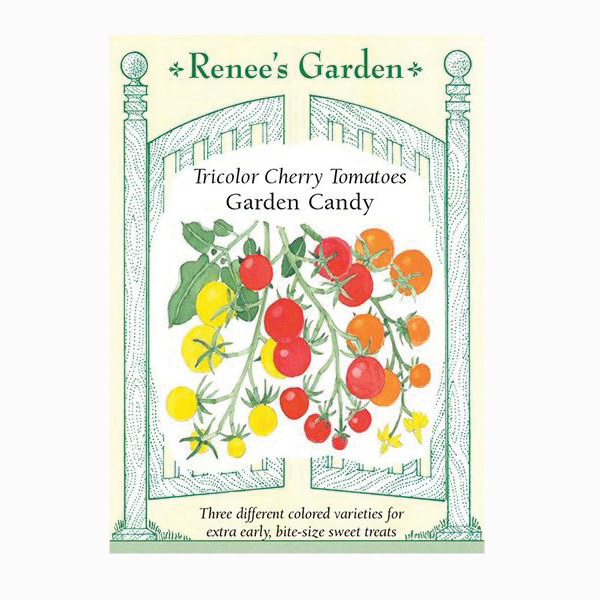 Renee's Garden 5780 Garden Candy Vegetable Seed Pack, Tomato, February to March, April to June Planting Pack - 1