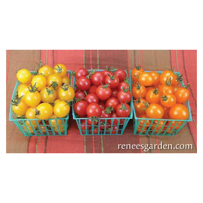 Garden Candy Vegetable Seed Pack, Renee's Garden, Tomato, February to March, April to June Planting Pack - 5
