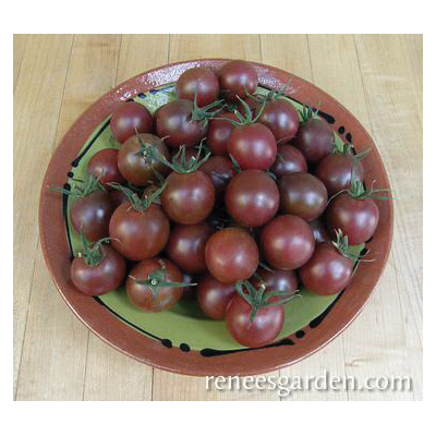 Renee's Garden 3064 Black Cherry Vegetable Seed Pack, Tomato, February to March, April to June Planting Pack - 4