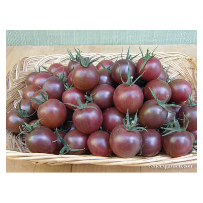 Renee's Garden 3064 Black Cherry Vegetable Seed Pack, Tomato, February to March, April to June Planting Pack - 5