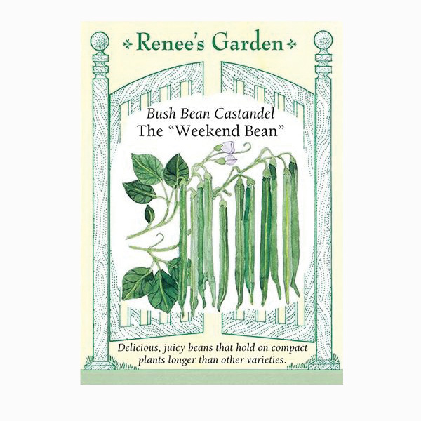 Renee's Garden 5985 The "Weekend Bean" Vegetable Seed Pack
