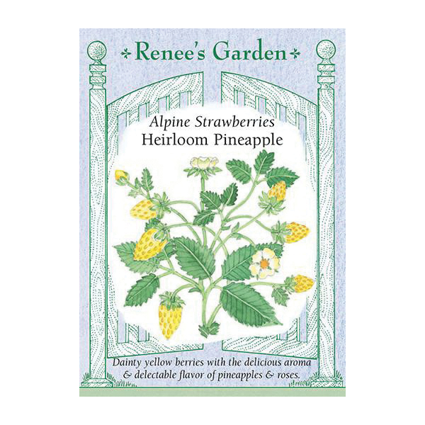 Renee's Garden 5875