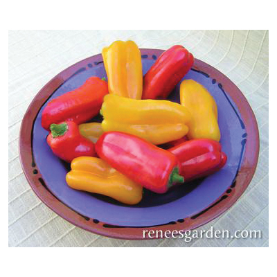 Renee's Garden Mini Snack/Salad Peppers Baby Belle Seeds - Thumbnail 3
