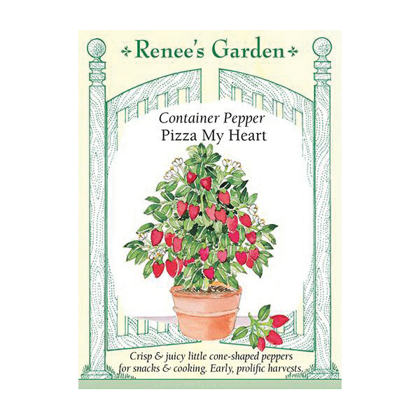 Renee's Garden Container Sweet Pepper Pizza My Heart Seeds - Thumbnail 2