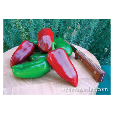 Vegetable Seed Pack, Renee's Garden, Sweet Pepper, February to March Planting Pack - 2