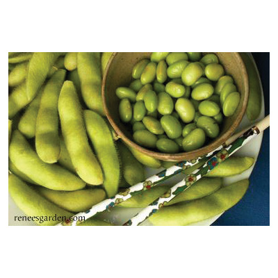 Renee's Garden 5198 Edamame Vegetable Seed Pack, Beans, April to June, May to June Planting Pack - 2