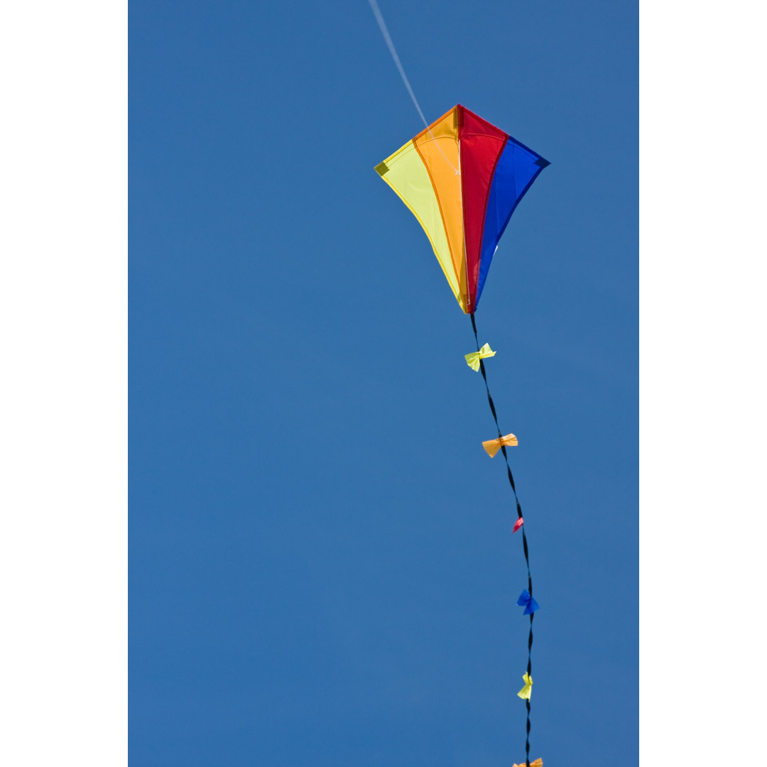 Invento Eco Line Series 102100 Ready-to-Fly Kite, 5 Years and Up, Eddy Spectrum, Fiberglass/Ripstop Polyester - 3
