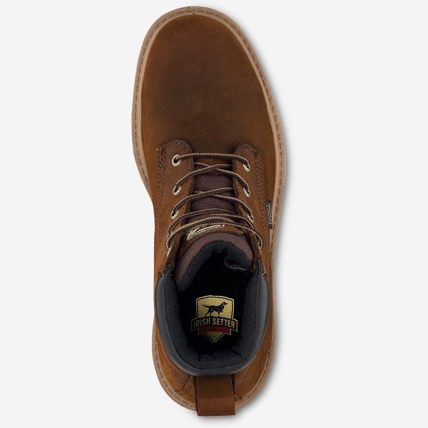irish setter hopkins