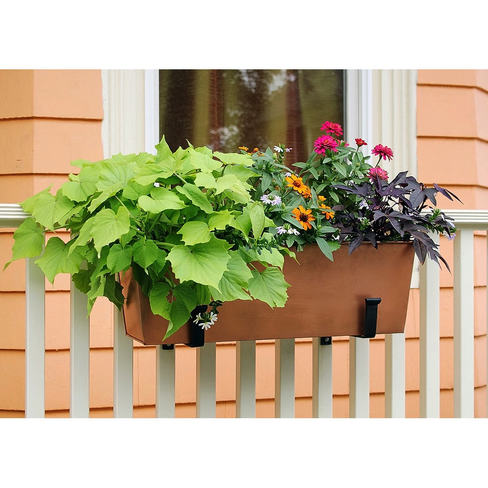 Achla Designs SFB-02 Flower Box Bracket, 8 in L, 8 in H, Wrought Iron, Black, Powder-Coated, Wall - 3