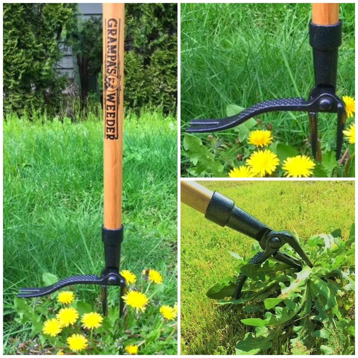 Grampa's Gardenware ACEDC-12 Weed Remover, Steel Blade, Hardwood Handle - 2