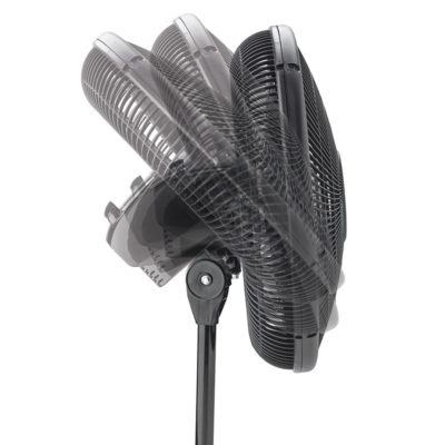 Oscillating Stand Fan, Lasko, 120 V, 16 in Dia Blade, Plastic Housing Material, Black - 2
