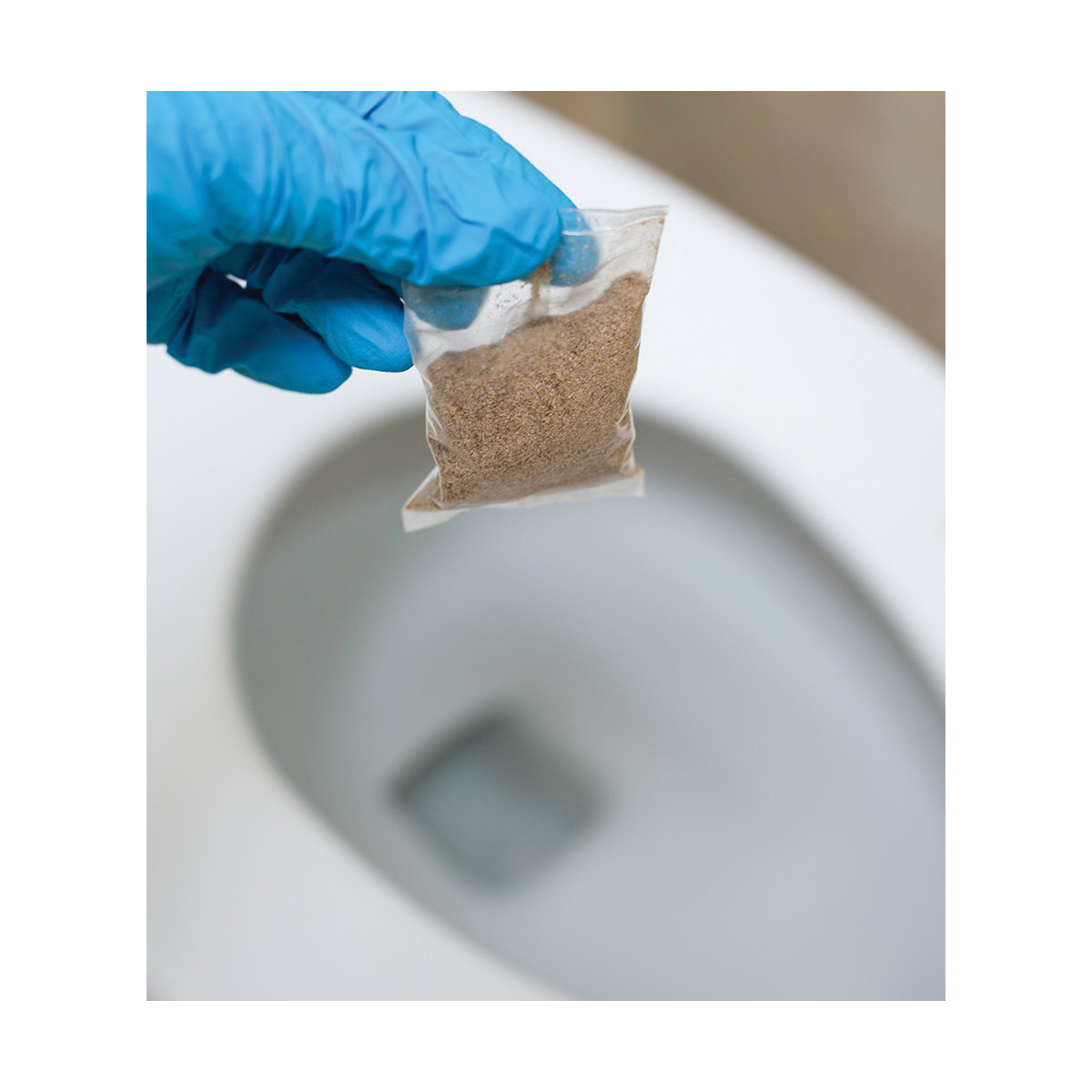 One Flush Septic Treatment, Prolab, 8 oz, Bottle, Liquid, Yeast - 3