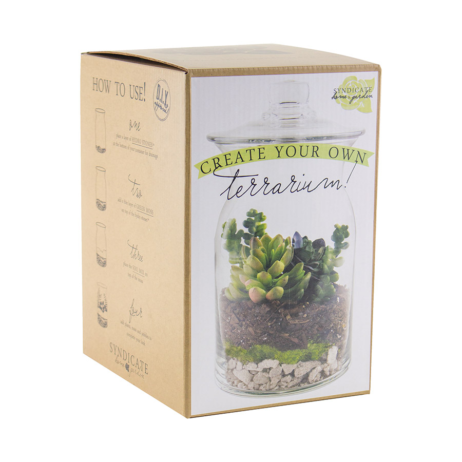 Syndicate Home & Garden 100-06-00 Terrarium Kit, Glass