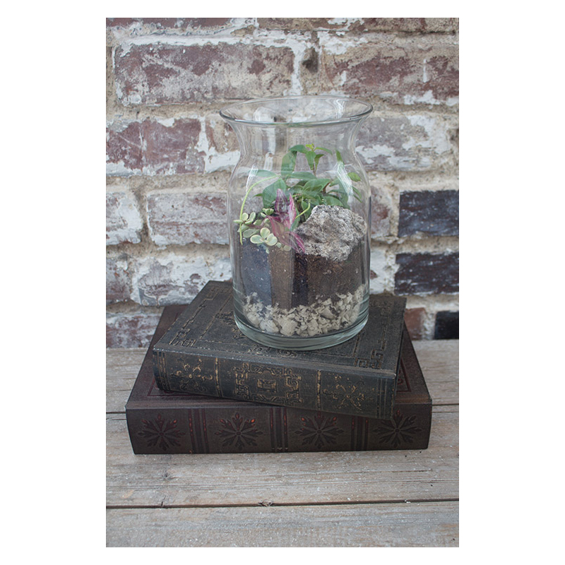 Syndicate Home & Garden 100-06-00 Terrarium Kit, Glass