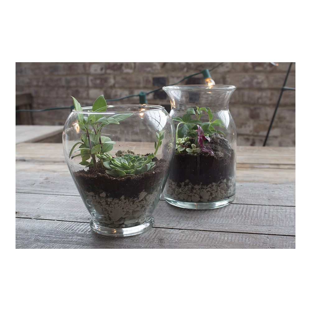 Syndicate Home & Garden 100-06-00 Terrarium Kit, Glass
