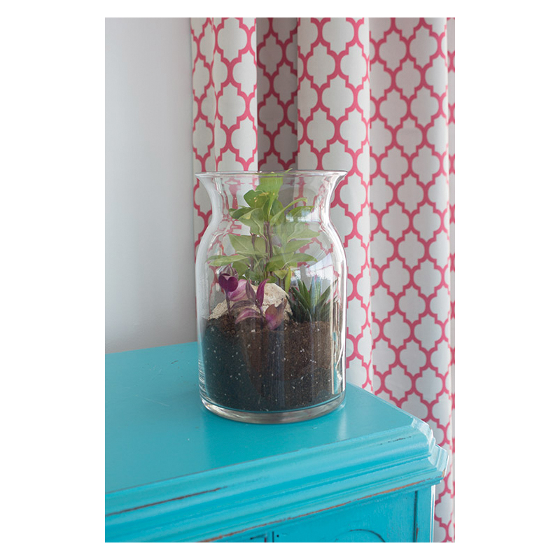Syndicate Home & Garden 100-06-00 Terrarium Kit, Glass