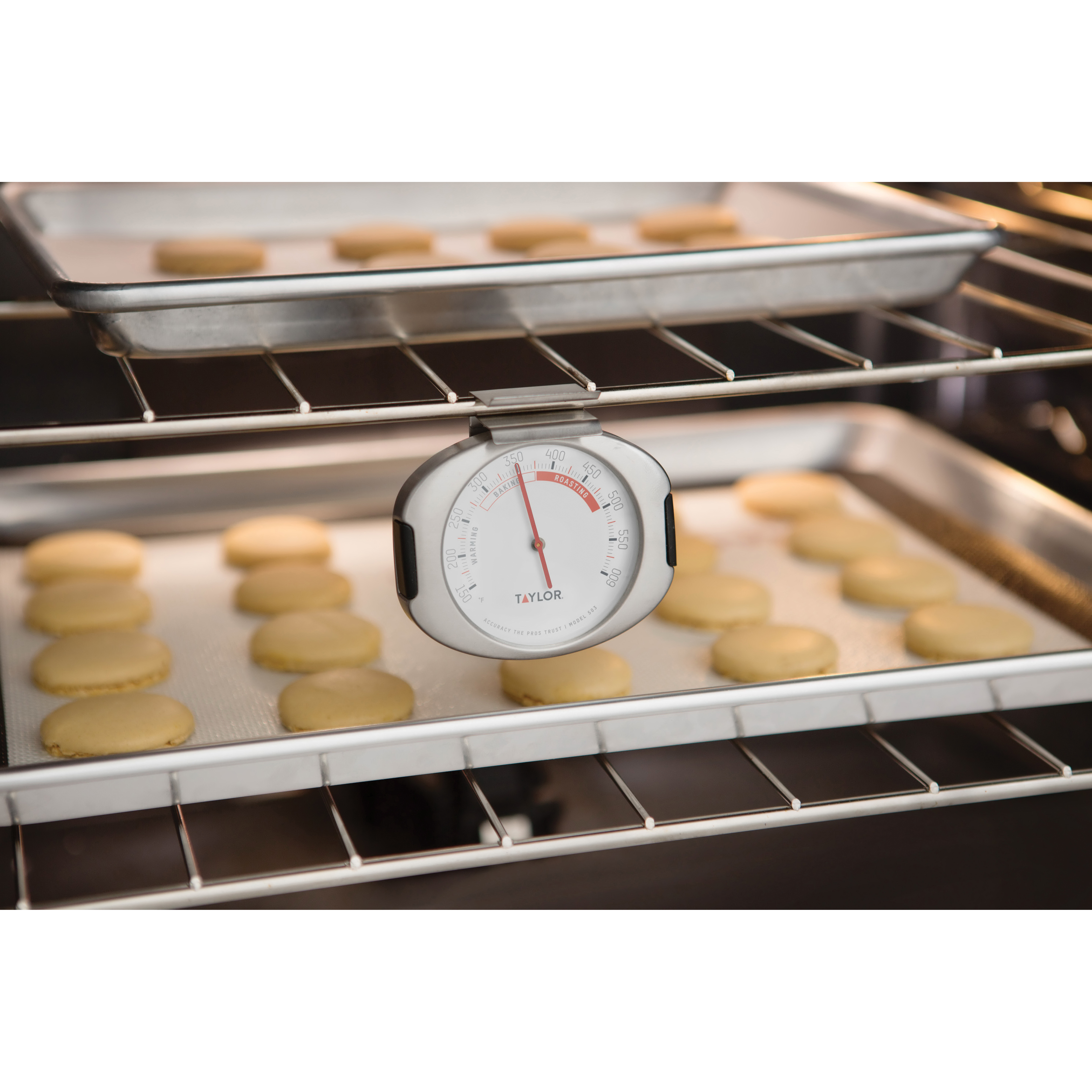 Shop the Taylor Connoisseur Oven Thermometer