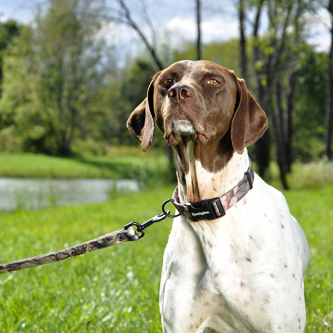 Remington R6962 G AVT20 Dog Collar, 14 to 20 in L Collar, 1 in W Collar, Camo