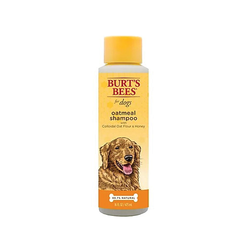 FFP7258 Dog Shampoo, 16 oz, Bottle